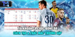 Tài Khoản Cá Cược Bóng Đá